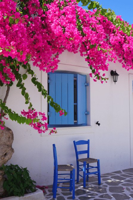 🔆 CORSICA TOURISME - hebergement pap touristique corse Marketplace touristique de la Corse