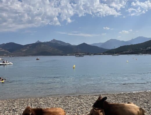 Plage du village de Galéria