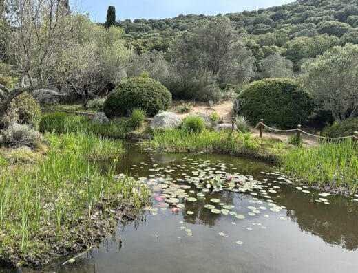 Parc de Saleccia
