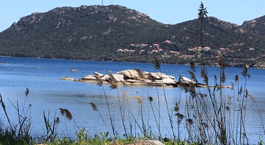 VMLOC – Location de Bateaux en Corse